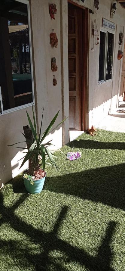 Surf & Turf Otel Zacatecoluca Dış mekan fotoğraf
