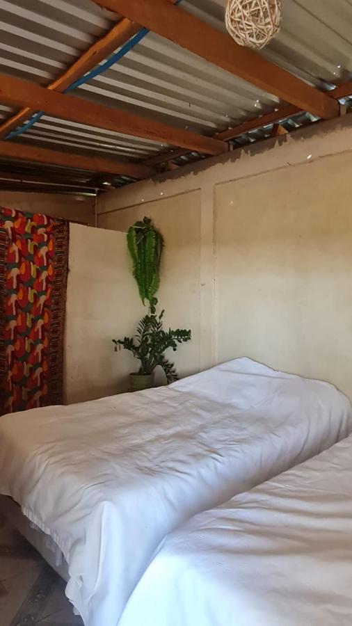 Surf & Turf Otel Zacatecoluca Dış mekan fotoğraf